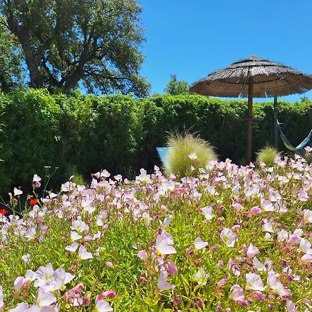 Des Delices Alojamento de Acomodação e Pequeno-almoço Grimaud