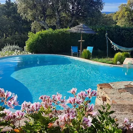 Des Delices Bed & Breakfast Grimaud