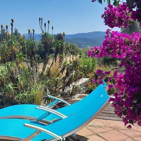 Des Delices Bed & Breakfast