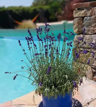 Bed & Breakfast Des Delices Grimaud