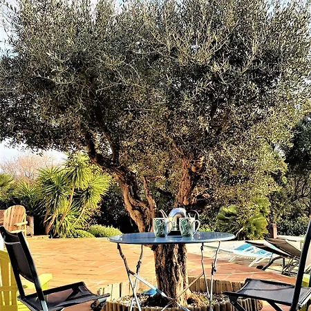 Bed & Breakfast Des Delices