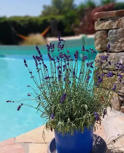 Frühstückspension Des Delices Grimaud