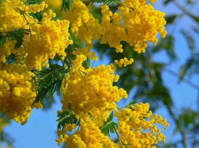 Des Delices Couette-café