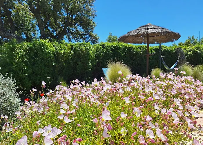 Des Delices Alojamento de Acomodação e Pequeno-almoço Grimaud